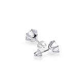 Pendientes de Tera